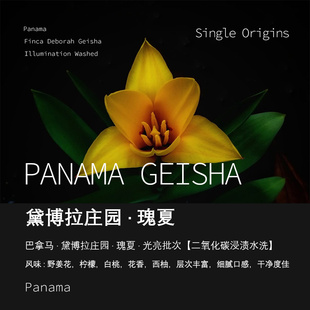 巴拿马黛博拉庄园瑰夏Geisha光亮批次水洗处理咖啡豆手冲单品咖啡