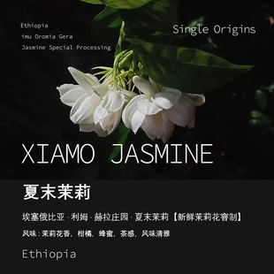埃塞俄比亚利姆赫拉庄园夏末茉莉Jasmine咖啡豆手冲单品咖啡豆