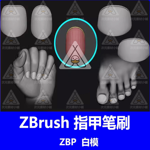 ZBrush人类手指脚指甲雕刻笔刷zb手部手指脚趾模型雕刻zb指甲模型