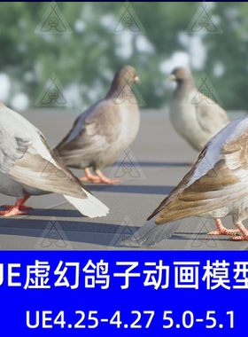 虚幻引擎UE5鸽子鸟类动物模型带动画素材Pigeon Animations Pack
