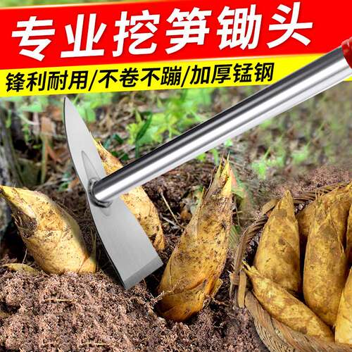 专业挖笋神器挖冬笋专用锄头锰钢镐锄种菜种花小锄头老式农用工具