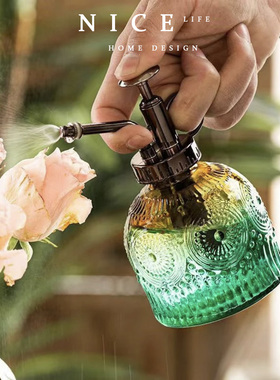 北欧复古透明彩色浮雕玻璃喷壶多肉养花洒水壶小型喷雾按压浇花壶