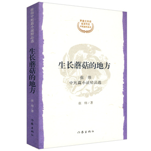 张炜中短篇小说精品选：生长蘑菇的地方//现代文学艾约堡秘史海边兔子有所思古船九月寓言图书书籍