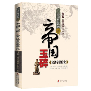 史宋朝南渡君臣宋高宗及其时代书籍 宋辽金夏真史帝国玉碎帝国真史系列 梅毅细说中国史之宋辽金夏元