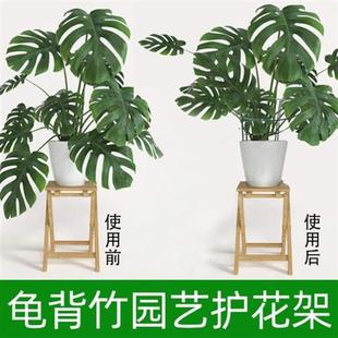 植物防倒伏支架金钱树散尾葵龟背竹三角梅秋海棠鹤望兰春羽支撑杆