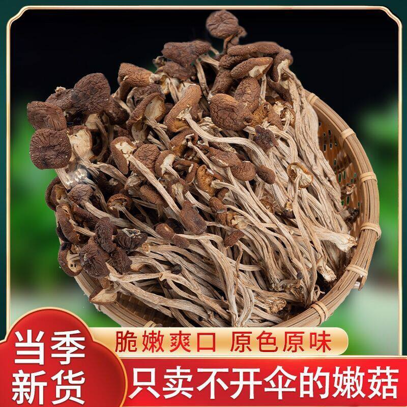 2026年新出茶树菇不开伞农家直发袋装正品煲汤火锅干锅批发