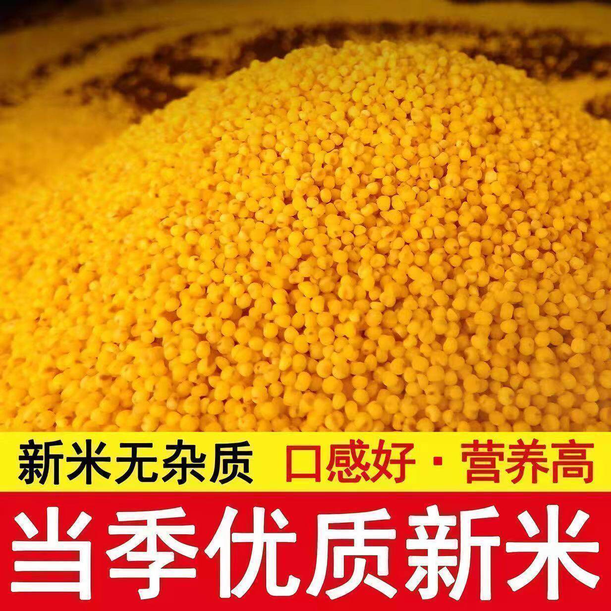 【精选5】正宗东北小米农家糯小米油小米五谷杂粮黄米