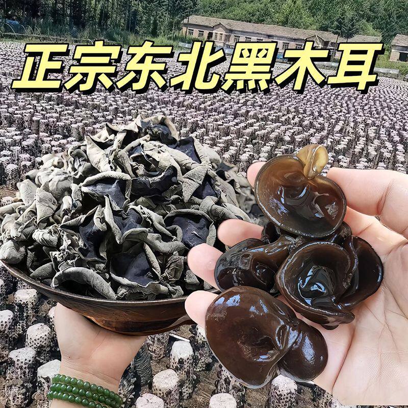 新货东北黑木耳干货特产椴木小碗耳野生秋木耳无根肉厚免摘新头茬