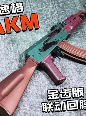 速格akm玩具ak47类型训练解压玩具模型肥肥钢镚