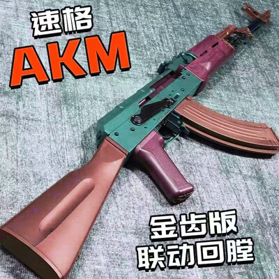 速格akm玩具ak47类型训练解压玩具模型肥肥钢镚