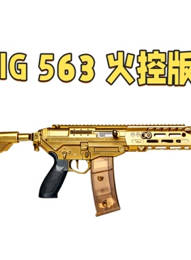 SIG 563冰凉鱼骨 带火控电动玩具wargame成人发射器模型肥肥钢镚