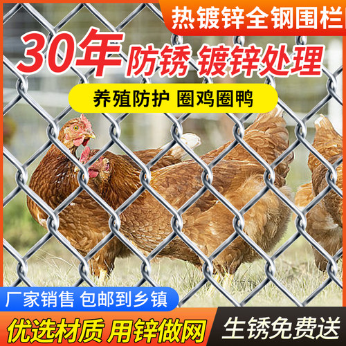 热镀锌铁丝网钢丝网户外围护栏网家用养殖牛羊鸭拦鸡网菜园勾花网