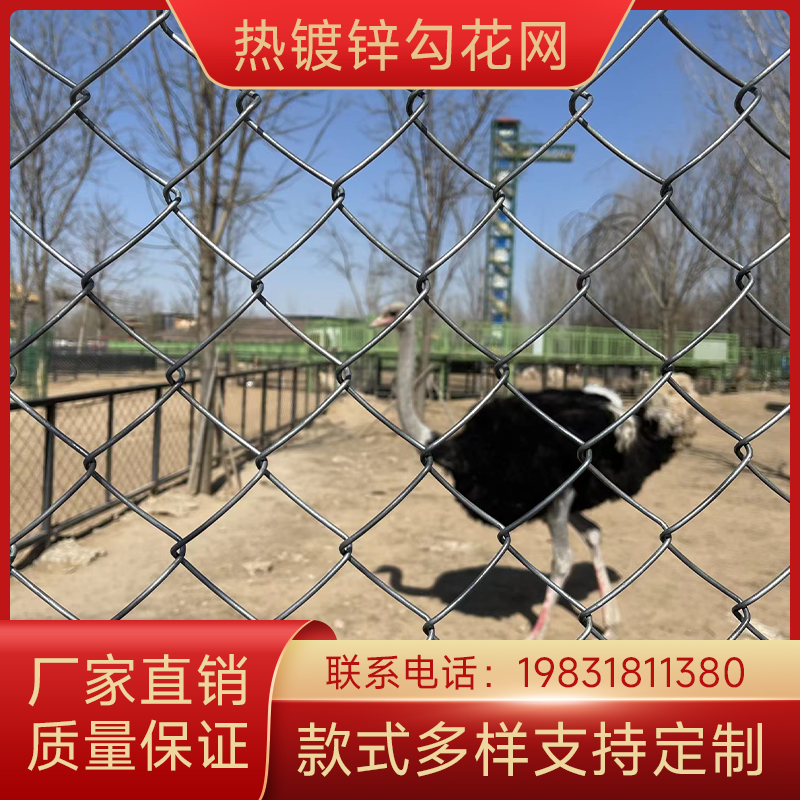 镀锌铁丝网养殖养鸡牛羊网防护网防护隔离网养狗网围栏钢丝勾花网