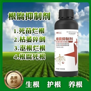 芭宝根腐抑制剂农作物根腐烂根软腐苗期死棵僵苗青枯黄叶催生新根