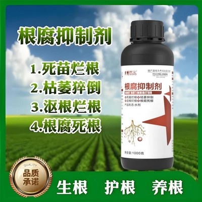 芭宝根腐抑制剂农作物根腐烂根软腐苗期死棵僵苗青枯黄叶催生新根