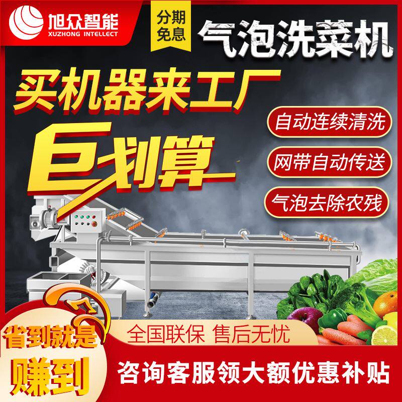 气泡喷淋洗果机韩国泡菜清洗机蜜饯干果加工清洗生产流水线