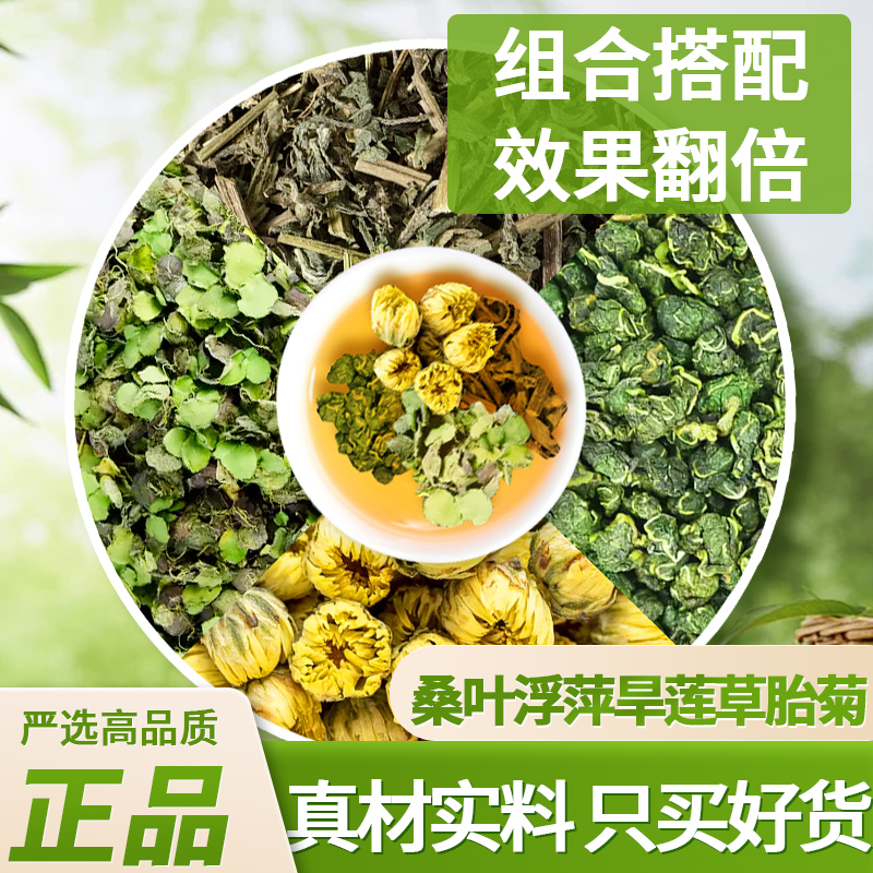 桑叶浮萍旱莲草菊花泡水喝的功效