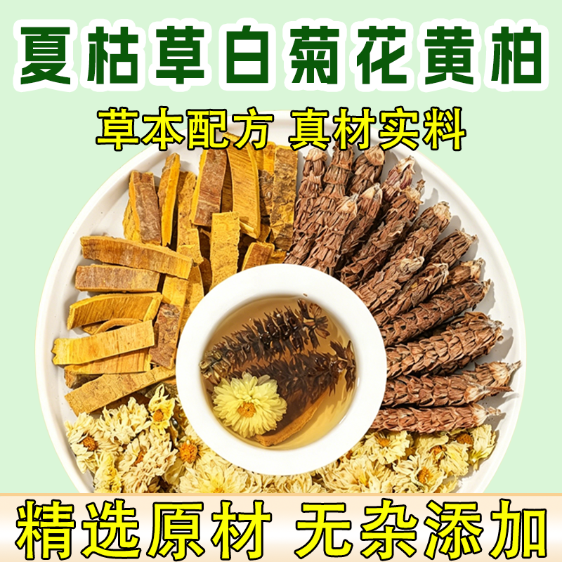夏枯草白菊花黄柏泡水喝功效作用