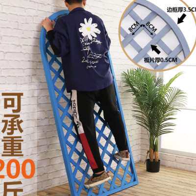 墙上悬挂装饰防腐实木阳台墙壁挂植物爬藤墙面挂壁网格隔断花架子