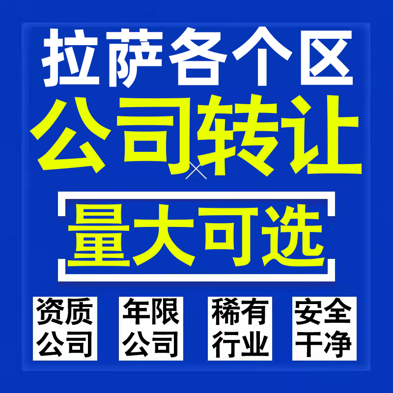 拉萨公司股权转让收购买科技贸易教育传媒咨询类公司营业执照注册