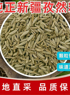 精选新疆孜然正宗孜然粒原味烧烤专用调料香料商用批发产地直采