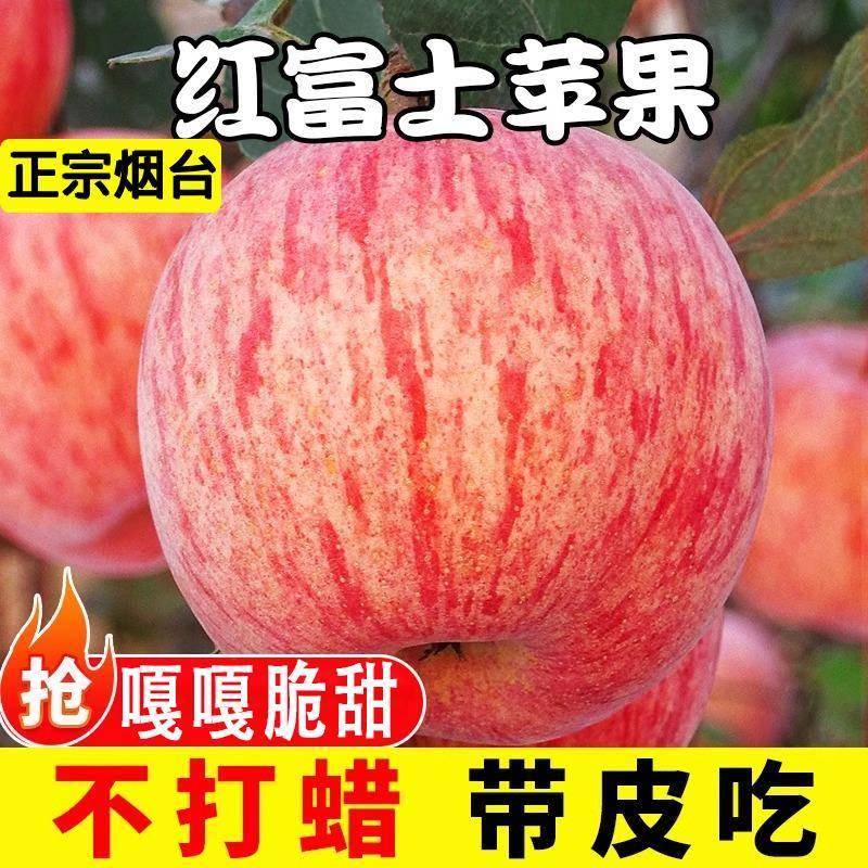正宗山东烟台红富士苹果新鲜水果9斤当季整箱栖霞脆甜苹果10包邮
