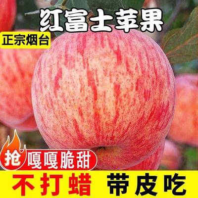 正宗山东烟台红富士苹果新鲜水果9斤当季整箱栖霞脆甜苹果10包邮