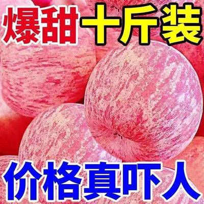 正宗陕西洛川红富士苹果9斤新鲜水果当季冰糖心脆甜嘎啦整箱包邮1