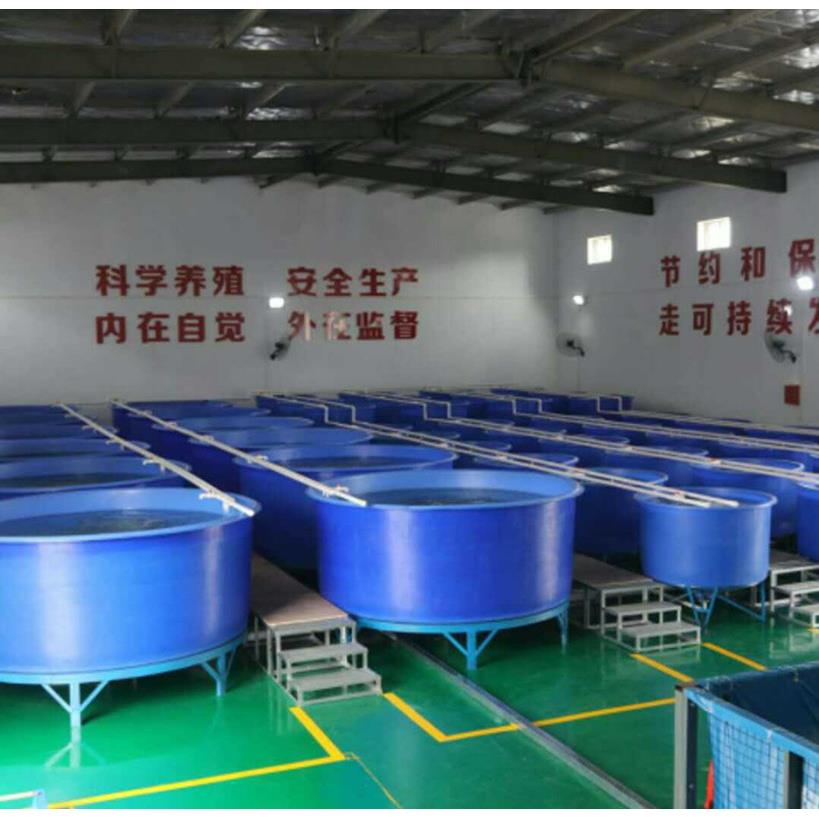 温室水产养殖桶.5吨泥鳅养殖圆桶塑料养殖桶厂家