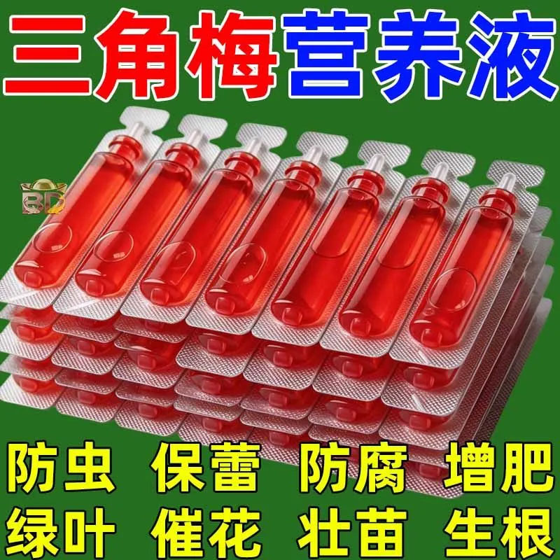 三角梅植物再生剂免稀释营养液绿植花卉盆栽水溶肥料家庭园艺肥料