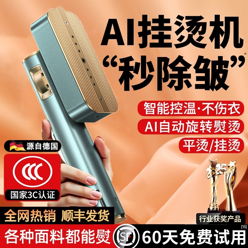 德国手持挂烫机家用小型蒸汽熨斗