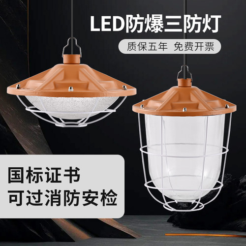 国标LED防爆灯工厂房车间照明灯灯罩仓库灯隔爆型灯专用加油站灯