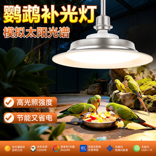 鹦鹉专用太阳灯全光谱uvb补钙灯鸟类宠物禽畜养殖场专用led生长灯