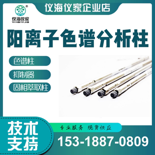 亚硫酸盐专用色谱柱   国产离子色谱柱 离子色谱仪专用分析柱