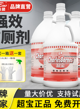超宝强效洁厕剂DFF018清洗马桶除臭清洁剂卫生间除污垢洁厕灵去黄