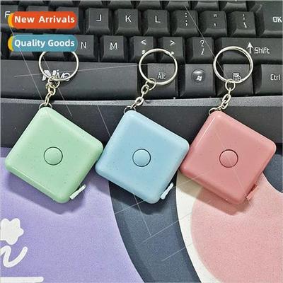 Wh keychain square simple automatic retractable type ruler m