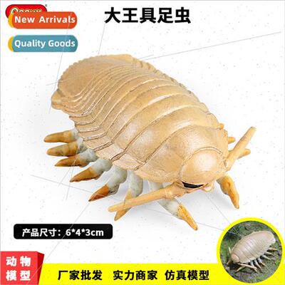 Children solid arthropods toy model king gastropods deep sea