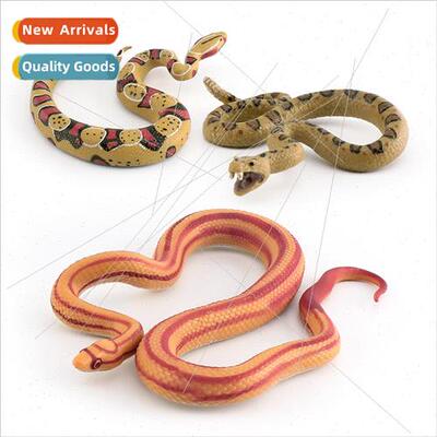Wild reptile snake model corn snake red-tailed boa rattlesna