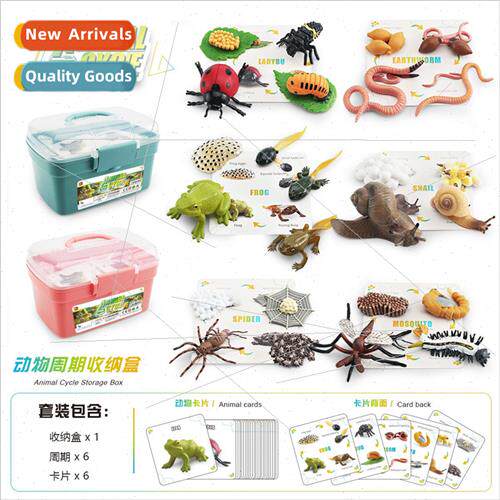 Animal fe Growth Cycle Model Snail Frog Earthworm Storage Bo