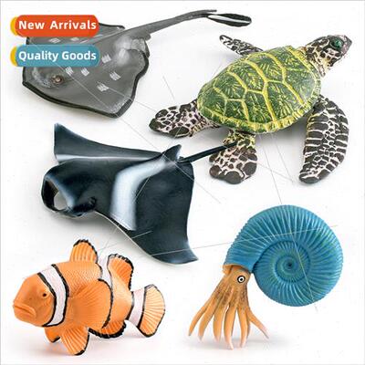 Manta ray fish big green turtle clown fish nautilus sting ra