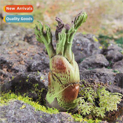 Creative simulation fake wild vegetables aralia food model h