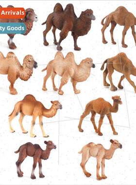 Desert simulation animal solid camel model ornament wildlife