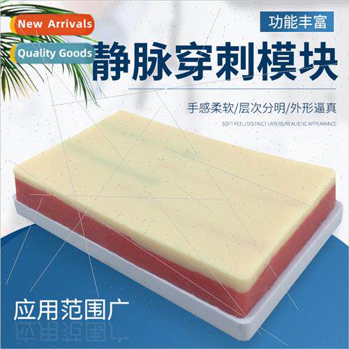 Multifunctional Skin Intravenous Injection Practice Module S