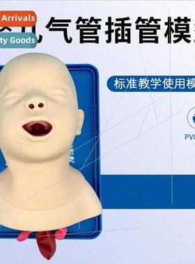 Full-featured neonatal tracheal intubation training model In