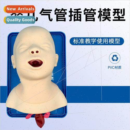 Full-featured neonatal tracheal intubation training model In