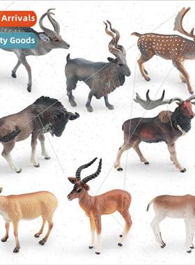 Wild animal model horned horse antelope male fallow deer mou