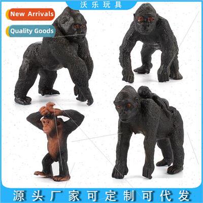 Wildlife model ornaments toys chimpanzee back boy standing g