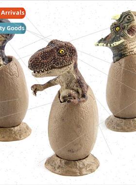 Dinosaur Mannequin Model Semi-Hatched Dinosaur Egg Assortmen