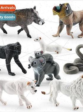 Wild animal model whe lioness ferret python cubs warthog man