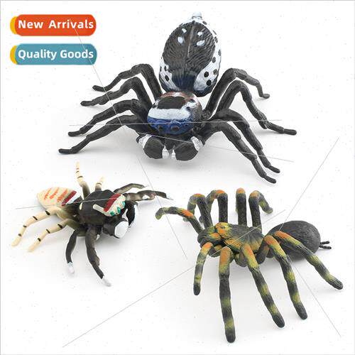 insect animal spider model poisonous spider peacock spider c